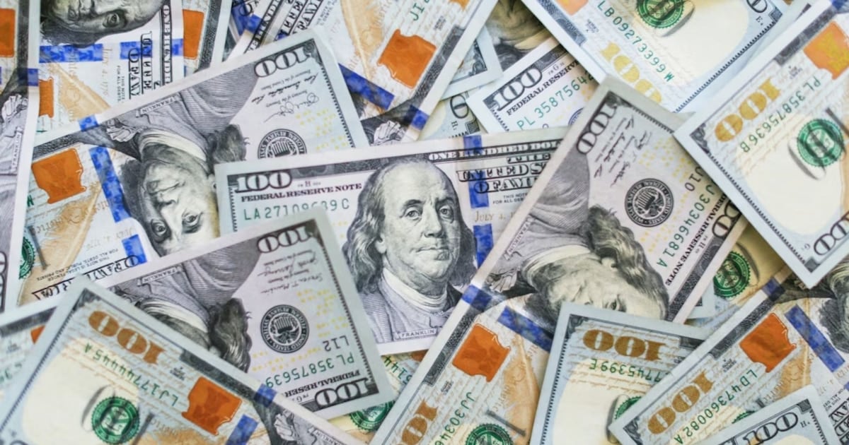 Compras individuales de dólares acumularon USD 44.437 millones desde la apertura del mercado