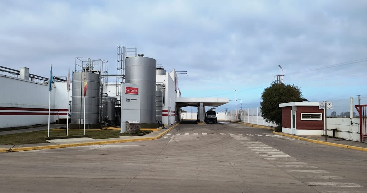 Verónica vende dos plantas por 15,5 millones de dólares y traslada a 225 empleados para intentar reducir una deuda superior a los 118.000 millones de pesos