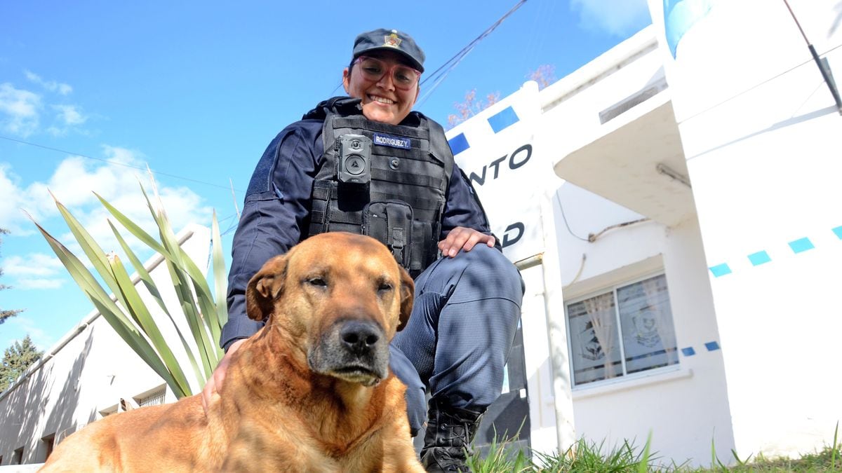 Puchero, el patrullero de cuatro patas que se ganó un colchón en la seccional neuquina