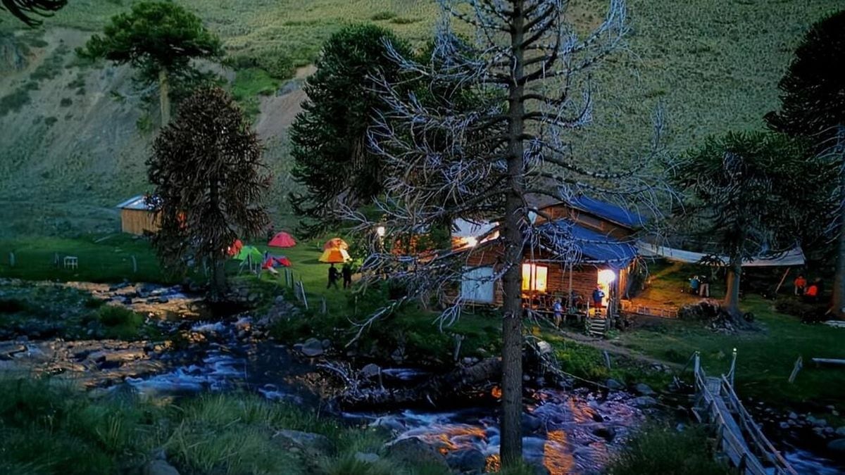 Voluntariado en la Patagonia chilena: cómo es la experiencia en el Geoparque Kütralkura, según una argentina que estuvo