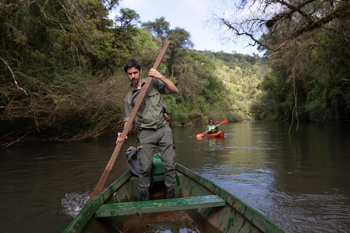 Margay, una reserva de selva y agua a orillas del arroyo Paraíso, espera al viajero con cabañas, kayak y un vivero que repuebla la frontera verde de Misiones