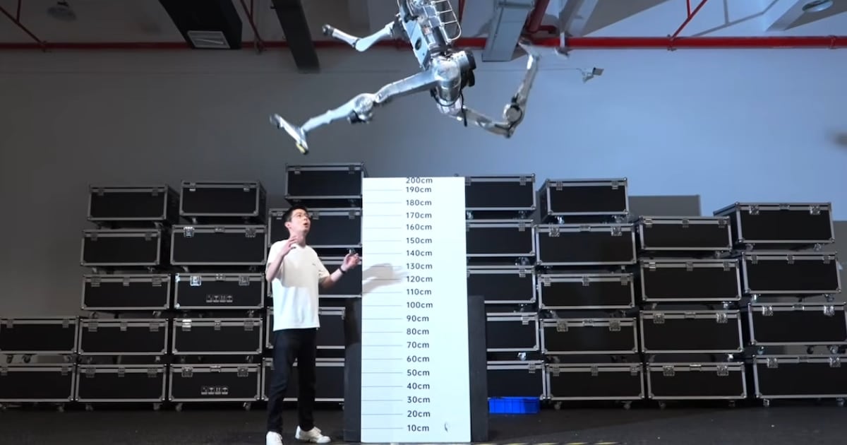 Filmar la vida cotidiana para enseñar a un robot: el trabajo que cambió la economía de Divya