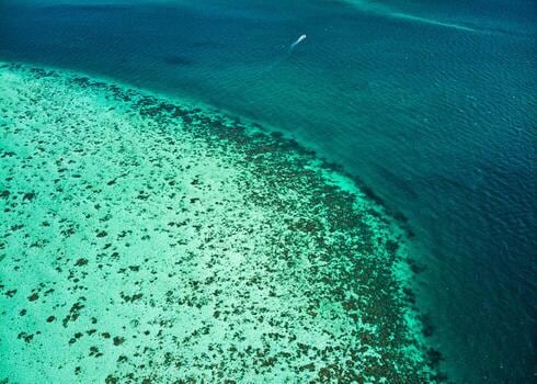 San Pedro, la puerta del Caribe beliceño donde el mar se vive con los pies en el agua