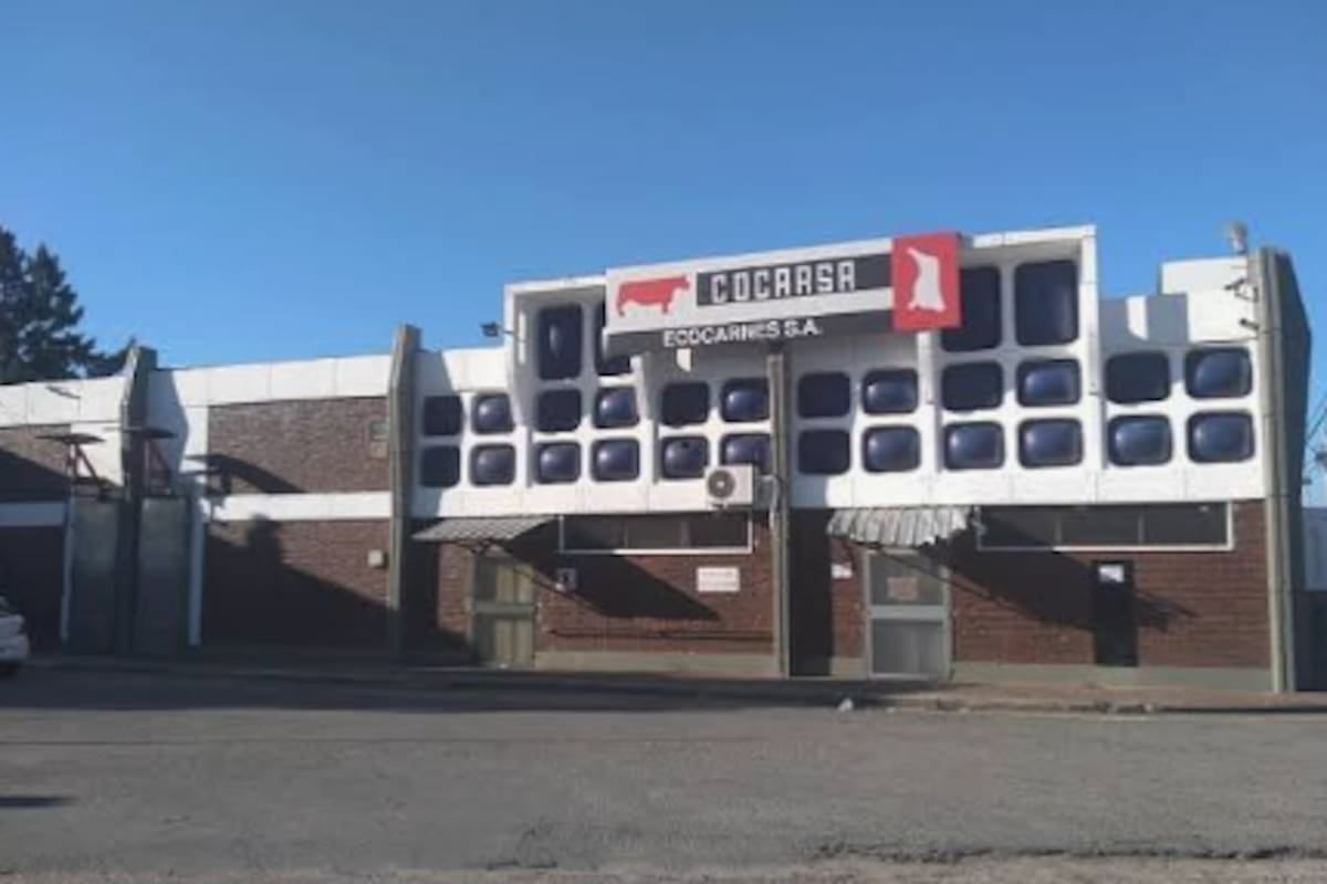 Frigorífico Ecocarnes: trabajadores de San Fernando acumulan casi un año sin cobertura médica y negocian blindar los sueldos