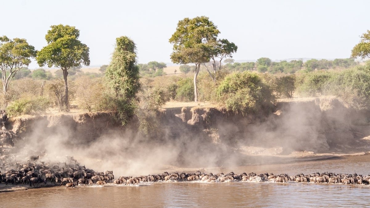 Tanzania en tres actos: la sabana, el cráter y las aldeas que todavía cazan con arco