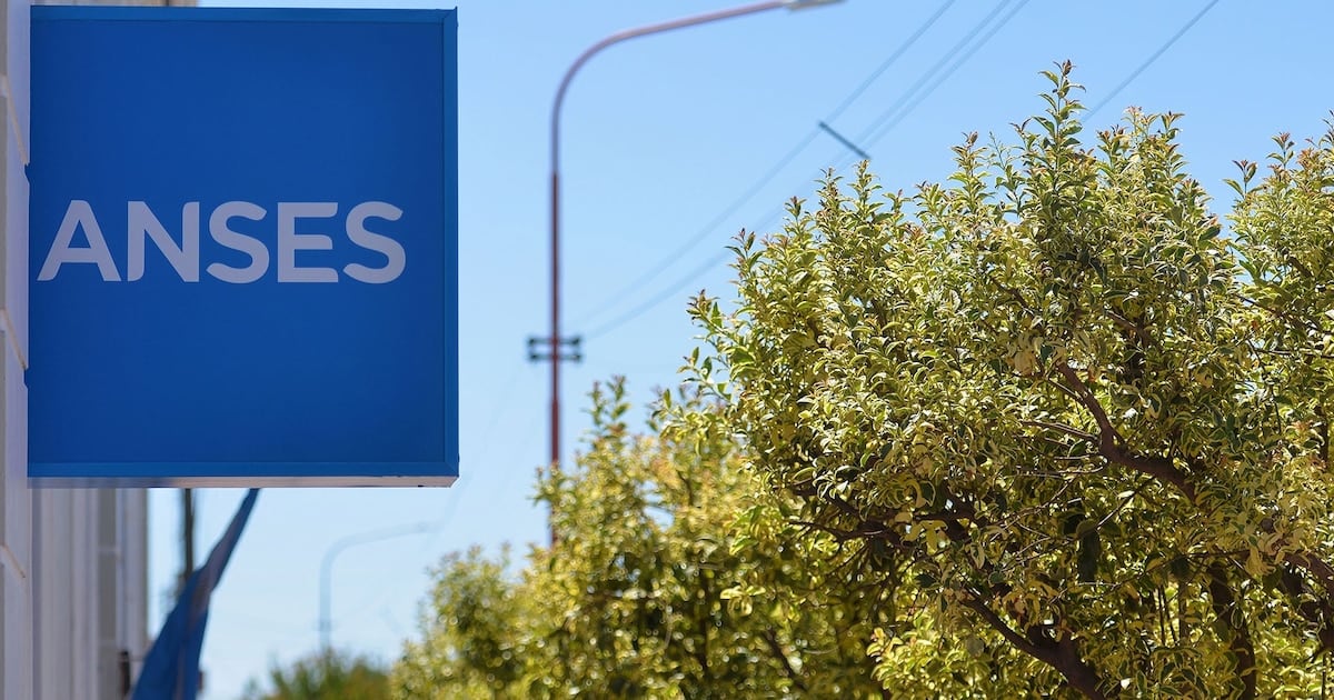 ANSES: cronograma completo de pagos para DNI terminados en 2 durante octubre