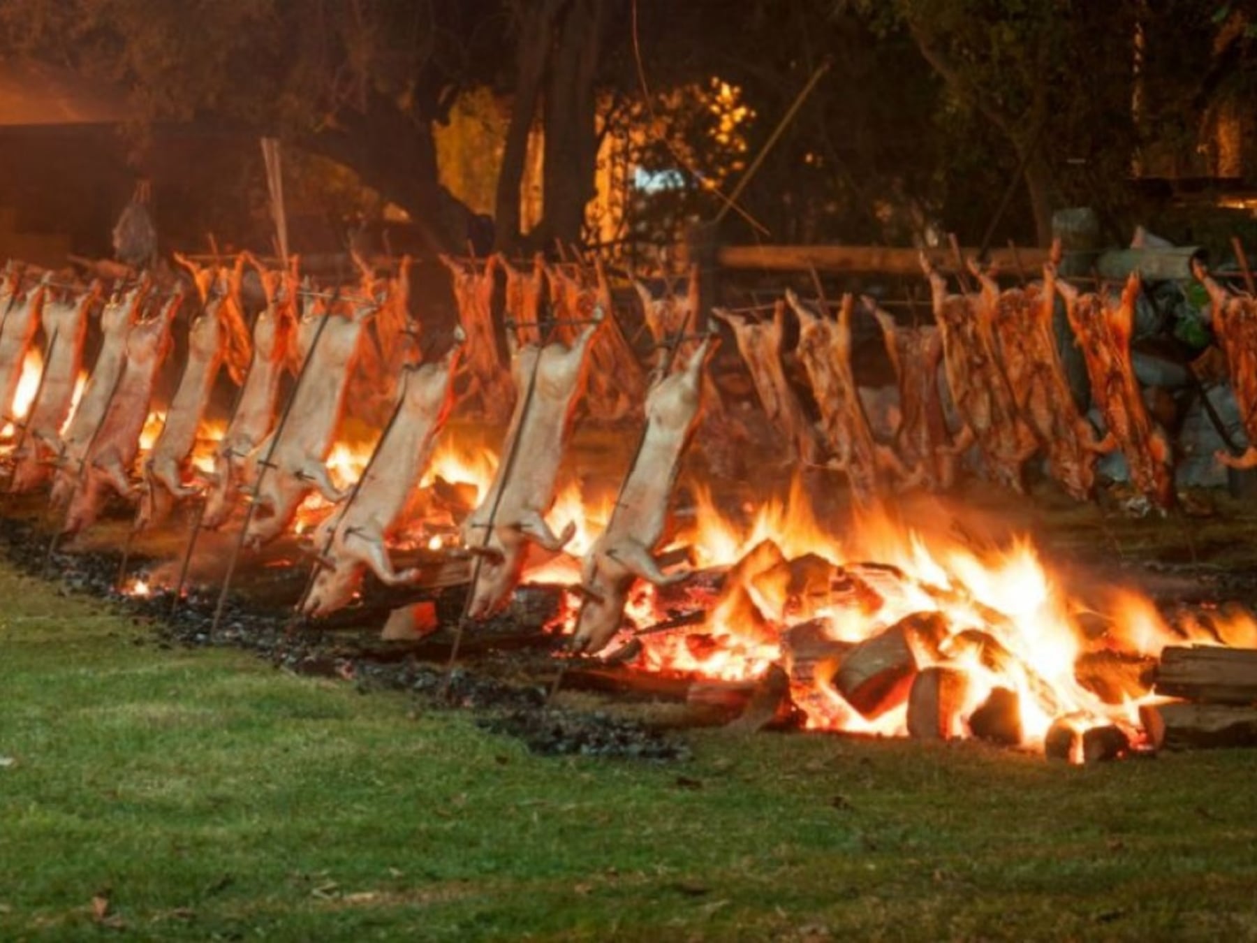 De mozzarellas, corderos y colectividades: la agenda del fin de semana largo para recorrer Buenos Aires sin salir de la provincia