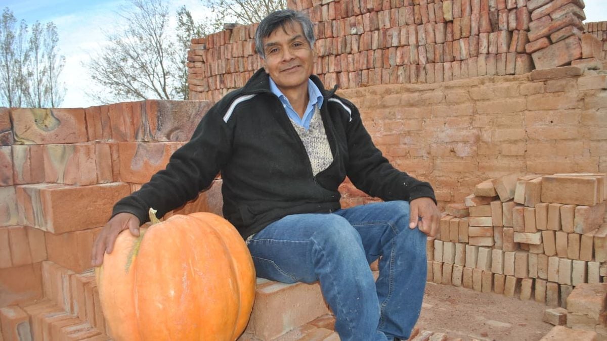En Mariano Moreno reparten semillas gratis y buscan al vecino que coseche el zapallo más grande del pueblo