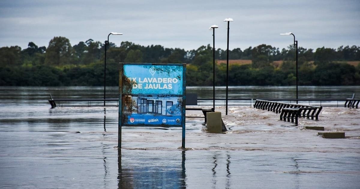 Carne, energía y rutas bajo agua: cómo llega El Niño a fin de año en la Argentina