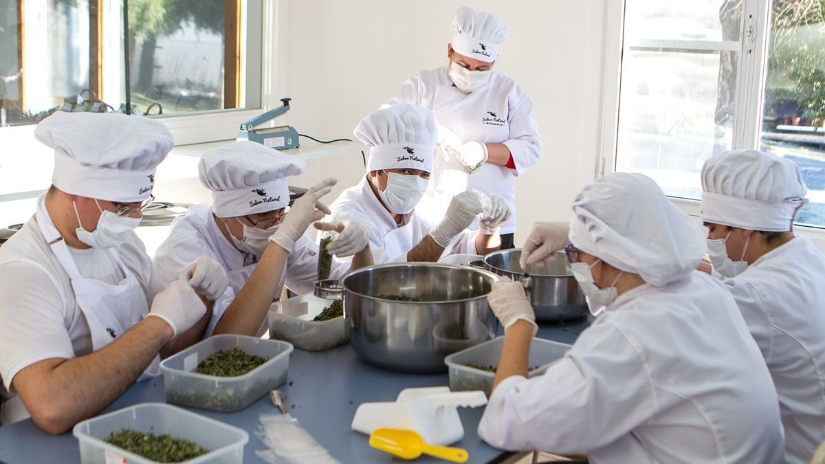 Mermeladas neuquinas con sello inglés: la receta que cruza la cordillera y vuelve con medallas