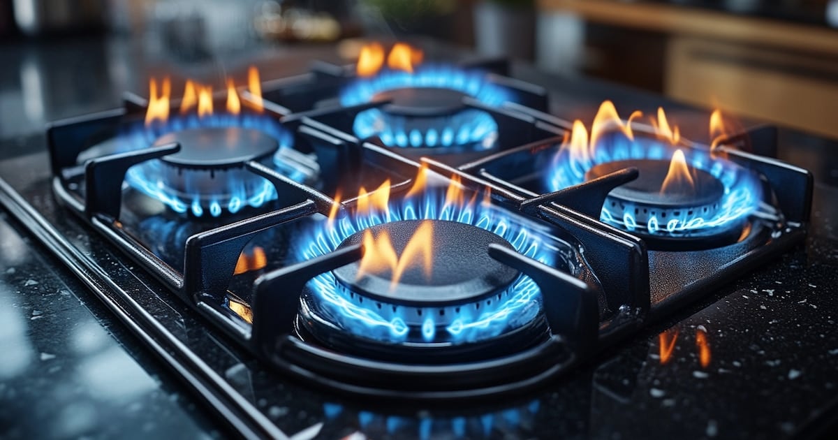 El Estado reduce el alcance del subsidio al gas en 3,35 millones de hogares