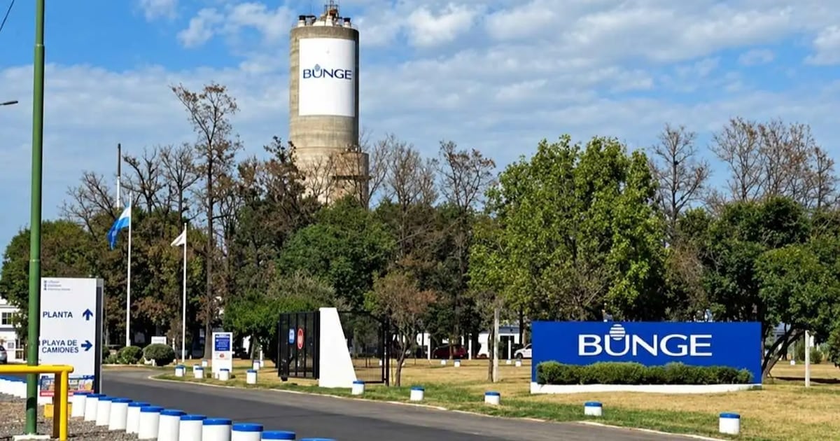 Campana: una planta química deja de producir fertilizantes y despide a 110 trabajadores